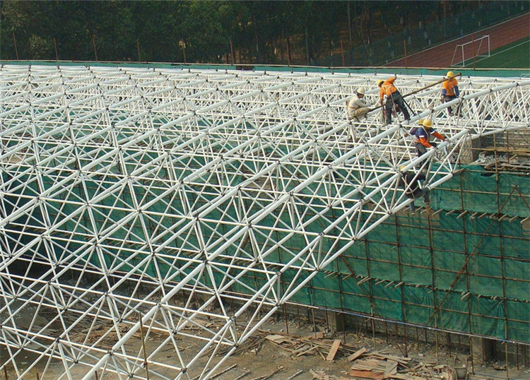 電廠網(wǎng)架加工工程案例